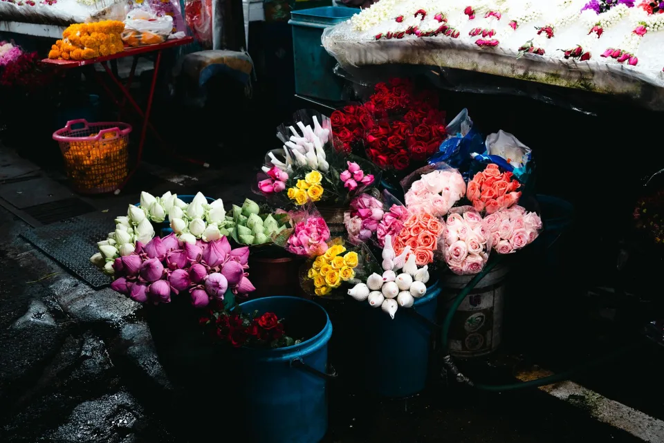 Bó hồng ecuador 20 bông kèm thiệp viết tay